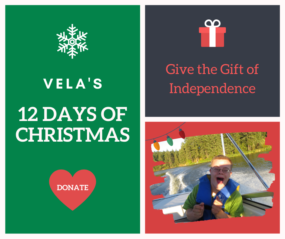 Vela's Christmas Campaign Image